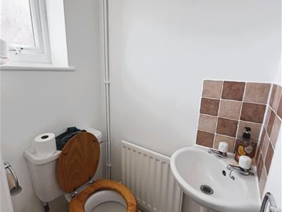 Picture 7